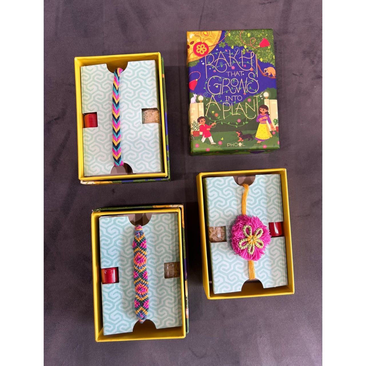 Eco Friendly Seed Rakhi